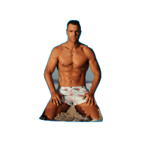 AustralianFirefighters hot summer sexy beach Sticker