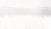 creighton bluejays GIF by Creighton University Athletics
