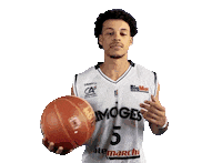 limogescsp1929 csp limoges crusol Sticker