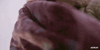 New Zealand Missy GIF by ARRAY