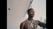 Lambo GIF by R3 Da Chilliman