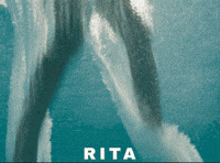 Glasgow Film Festival Rita GIF by Signature Entertainment