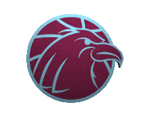 ArnhemEagles basketball eagle ae basketbal Sticker