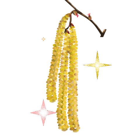 Coentron giphyupload flowers hazel the other side Sticker