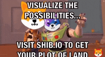 Shib Coin GIF by SHIB MEMES