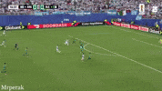 World Cup Fan GIF