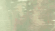 pink pink p!nk just like a pill GIF