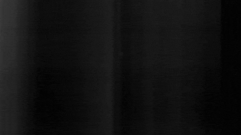 Football Sport GIF by SK Sturm Graz