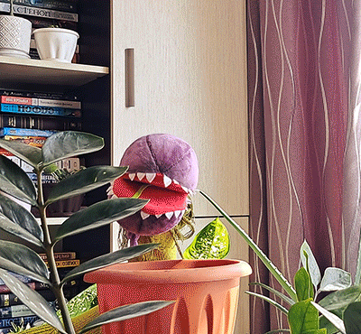 Vemnos giphyupload GIF