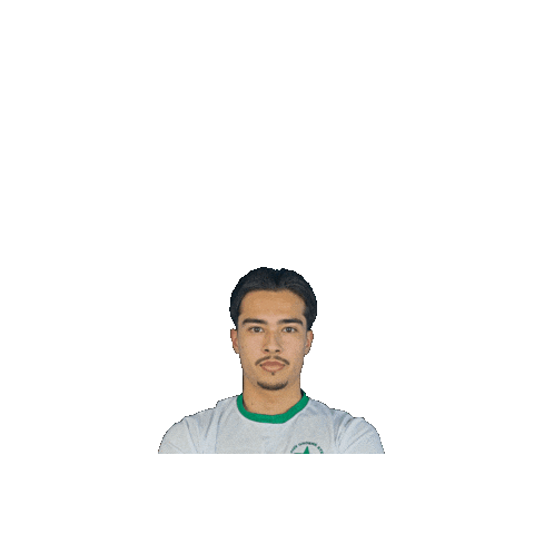 Sport Heerlen Sticker by Groene ster