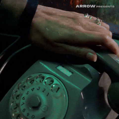 Italian Film GIF by Arrow Video
