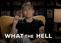 What The Hell Wtf GIF