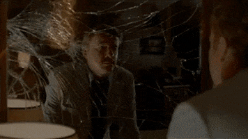 x files GIF by The X-Files