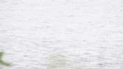 Water Day Lake GIF by JC Property Professionals