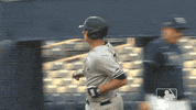 Major League Baseball Sport GIF by MLB