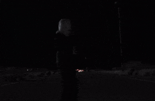 Nda GIF by Billie Eilish