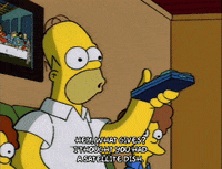 homer simpson GIF