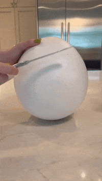 Funny GIF by Youtooz