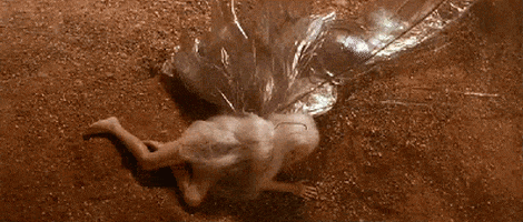 labyrinth GIF