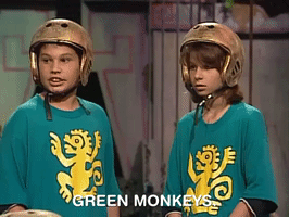 green monkeys nicksplat GIF