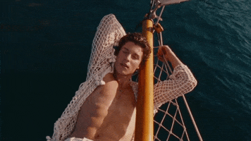 Summer Of Love GIF by Shawn Mendes