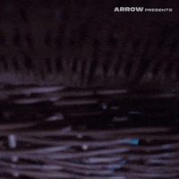 Basket Case Film GIF by Arrow Video