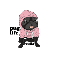 thesoulcollectiveco animals puppy trending pet Sticker