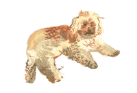 thelaw karayoubeyou Sticker by KARA