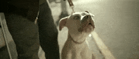music video from the way GIF by Christina Chriss