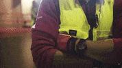 Palibex pale transporte logistica camión GIF