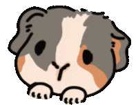 Guinea Pig Sticker