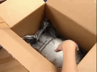 bixfrankonis giphygifmaker brain foam GIF