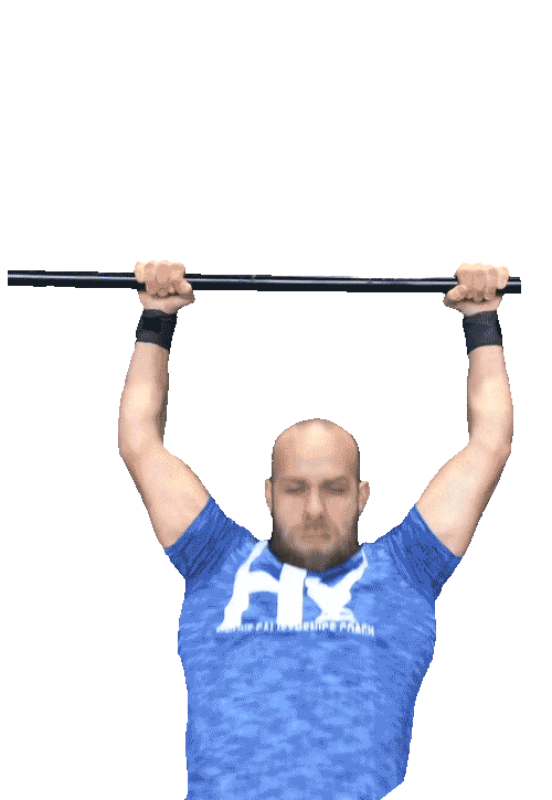 Hendrivermeer crossfit calisthenics pull up pullup Sticker