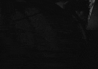 alfred hitchcock suspicion GIF by Maudit