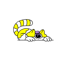 happy big eyes GIF by Renato Flores