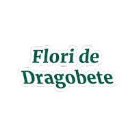 florariamagnolia dragobete floraria magnolia floraria magnolia dragobete flori de dragobete Sticker