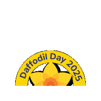 Daffodilday Sticker by irishcancersociety