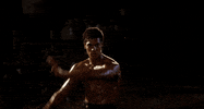 kung-fu GIF by Coolidge Corner Theatre