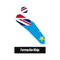 Flag Bandera Sticker by Formación Ninja