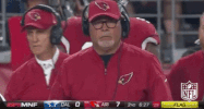 Arizona Cardinals Football GIF by NFL