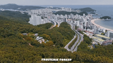 fruiterieforest 프루터리 fruiterie forest 달맞이카페 fruiterie GIF