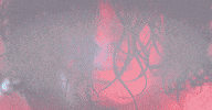 close up face GIF by IHC 1NFINITY