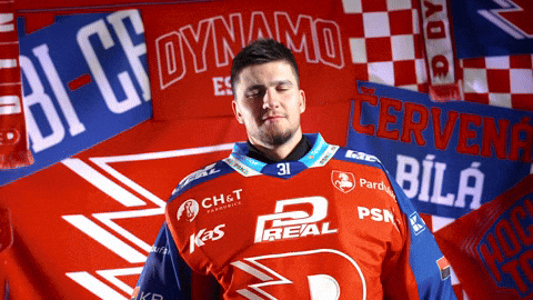 Tomas GIF by HC Dynamo Pardubice