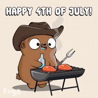 Independence Day Usa GIF by Fugz Official