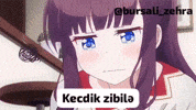 Bursalizehra GIF