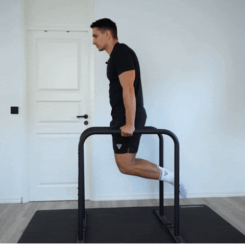 Calisthenics Dips GIF