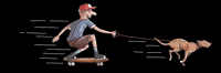 Dogs Skate GIF by mitchrevsgallery