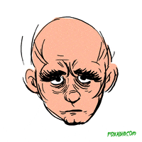 Life Cycle Fox GIF by Animation Domination High-Def