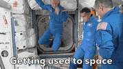 International Space Station Dragon GIF by European Space Agency - ESA