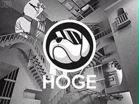GIF by Hoge Finance